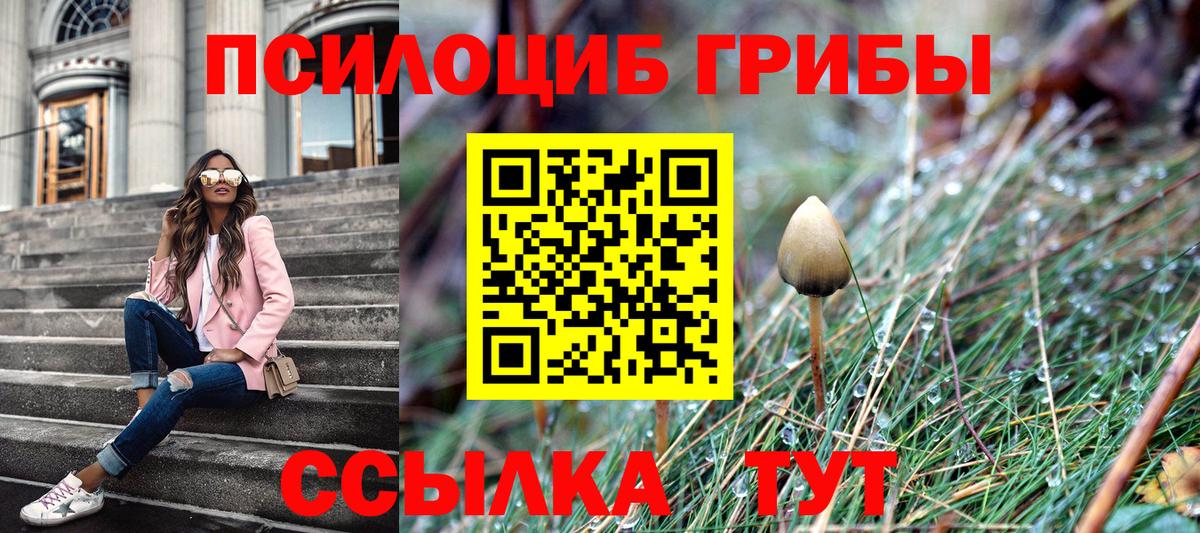 Псилоцибиновые грибы Magic Shrooms Волоколамск