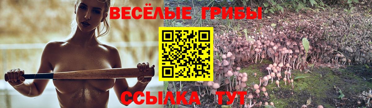 наркота  Галлюциногенные грибы мухоморы  Вход с VPN  Волоколамск 